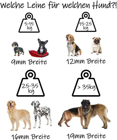 Bio-line 12mm Biothane Tow Leash for Small & Large Dogs (1-20m) | Water-Repellent & Adjustable | Ideal for 15-25kg - Buy Online on GoSupps.com