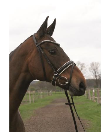 Hans Melzer Horse Equipment Trense Hagen - Black/White Lining for Warmbloods | Shop Now! - Buy Online on GoSupps.com