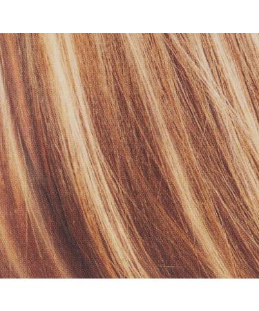 L'Oreal Paris Frost and Design Caramel Hair Highlighting Kit - 1 Count - Buy Online on GoSupps.com