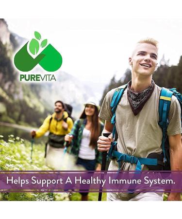 Elderberry with Zinc, Vitamin C, Turmeric, and Echinacea - Daily Antioxidant & Immune Support for Adults - Buy Online on GoSupps.com
