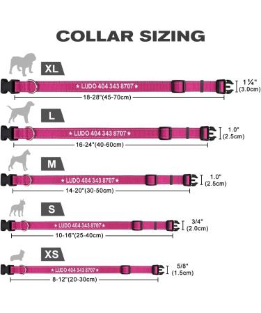 Personalized Dog Collar for Small Dogs Embroidered Reflective Nylon Pet Name & Phone Number Hot Pink XS Tagme (1 Pack) - Buy Online on GoSupps.com