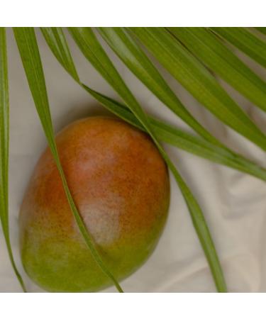 H2K Botanicals Calm Seas Cocoa Butter and Mango Soothing Bath & Shower Gel 250ml - Buy Online on GoSupps.com