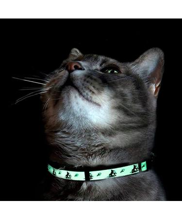 Pawtitas Glow in The Dark Cat Collar with Safety Buckle and Bell Teal - Buy Online on GoSupps.com