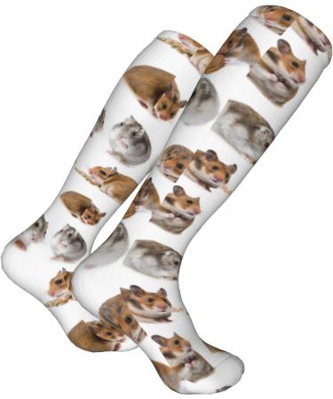 Shop Hamster Compression Socks for Men & Women | 15-20 mmHg Support for Running & Cycling - Buy Online on GoSupps.com