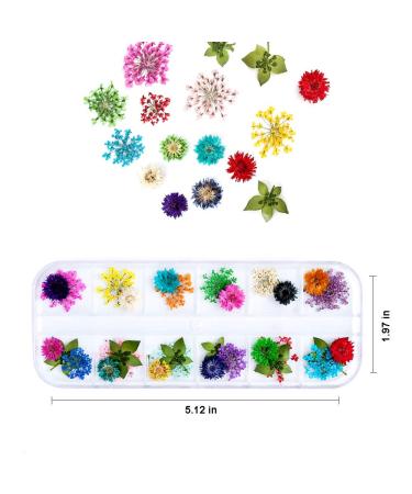 iFancer Nail Dried Flowers: 90 Pcs, 36 Colors, Real Nature Dry Petals for 3D Nail Art Manicure Decoration - Buy Online on GoSupps.com