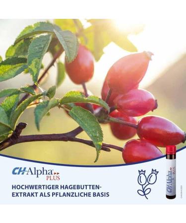 Ch-Alpha Plus 30 Ampoules - Dietary Supplement for Chronic Joint Symptoms - Vitamin C for Flexible and Healthy Joints in Netherlands - Buy Online on GoSupps.com