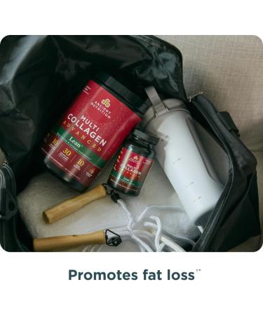 Ancient Nutrition Advanced Hydrolyzed Collagen Peptides Powder Protein Lean with Probiotics and Vitamin C Cinnamon for Women & Men Supports Healthy Weight Management & Muscle Building 25 Servings - Buy Online on GoSupps.com