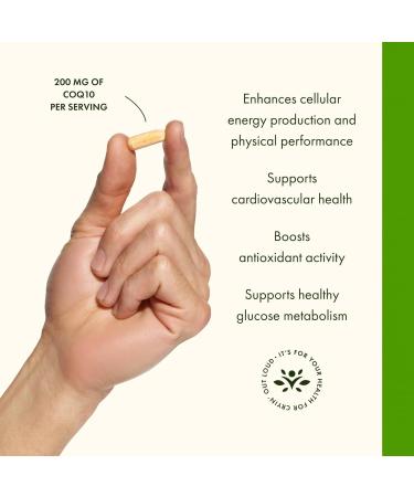 Swanson CoQ10 Cardiovascular Brain Energy and Heart Health Antioxidant Support Supplement 200 mg 90 Capsules (2 Pack) - Buy Online on GoSupps.com