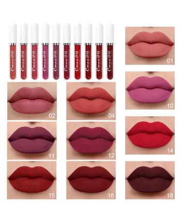 10Pcs Liquid Matte Lipstick Set for Dark Skin Women - Long-Lasting Matte Lipstick Pack - Original 24 Hour Formula - Dark Red Shades - 10 Count - Buy Online on GoSupps.com