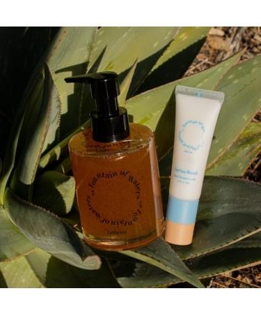 Fountain of Waters Cactus Hotel Hand Wash & Serum Set - Vegan Cruelty-Free Gift for Her - Premium Almond Oil infused - 300ml & 45ml - Crafted in Korea - Buy Online on GoSupps.com