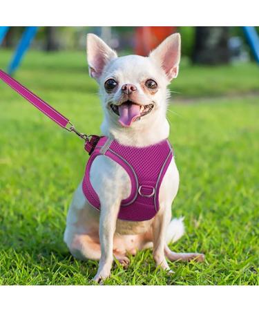 Joyal Dog Harness - Reflective Soft Padded Air-Mesh Breast Harness for Puppies & Small Dogs - XS Hot Pink (34-38cm) - Buy Online on GoSupps.com
