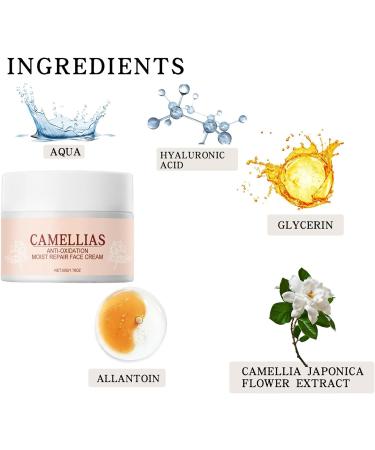  Fyearfly Pack of 2 camellia face creams 50g each moisturizes skin reduces fine lines absorbs quickly lightweight moisturizing face cream for women - Buy Online on GoSupps.com