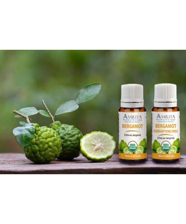 Organic Bergamot Bergaptene Free Essential Oil 100% Pure and Undiluted Citrus AUR. bergamia Premium Quality Aromatherapy Oil Tested and Verified Size: 10mL (0.34 Fl. Oz.) 0.34 Fl Oz (Pack of 1) - Buy Online on GoSupps.com