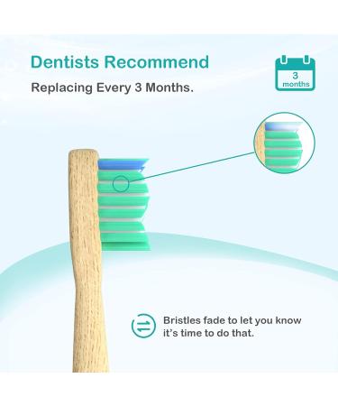 Bamboo Replacement Toothbrush Heads - 4 Count | Compatible with Most Philips Electric Toothbrushes - Buy Online on GoSupps.com