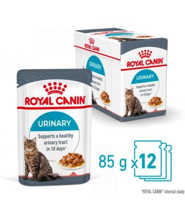 ROYAL CANIN Urinary Care In Jelly Adult Wet Cat Food (Pack of 12) - Buy Online on GoSupps.com
