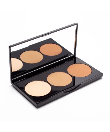 Fab Brows Fab Trio Contour Kit- Contour Palette For Face Makeup  Women's Makeup Kit With Contour Powder  Defining Weightless Highlighting Powder With An Angled Contour Brush  Flawless Trio Contouring