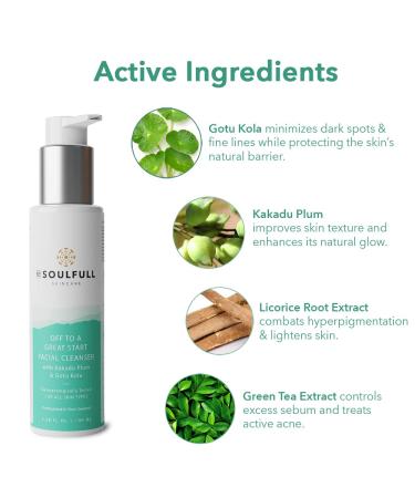 BE SOULFULL Facial Cleanser - Exfoliating Daily Face Wash for Glowing Skin 100ml / 3.4 Fl Oz - Hydrate & Improve Skin Texture - Buy Online on GoSupps.com