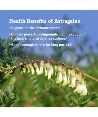 Oregon's Wild Harvest Astragalus - 90 Gelatin Capsules | Immune Support & Herbal Wellness - Buy Online on GoSupps.com