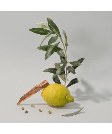 Buy Compagnie De Provence Hand Cream 100ml - Lemongrass | Premium Moisturizer for Silky Smooth Hands - International Shipping Available - Buy Online on GoSupps.com