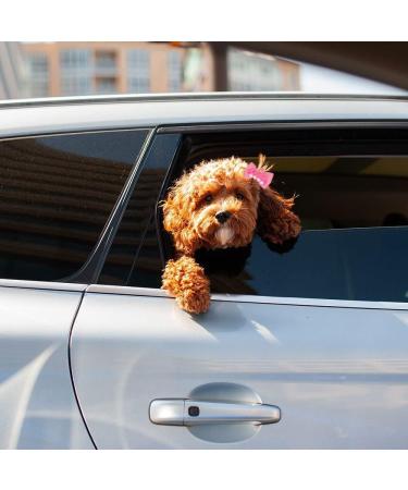 WHPromLang 10 Pieces Dog Hair Bows Puppy Crown Hair Bowknot Pet Pearls Bows Bowknots with Rubber Bands for Cute Puppy Dog Pet Hair Grooming Accessories Random Color - Buy Online on GoSupps.com