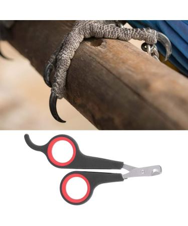 Professional Parrot & Cat Nail Clippers - Pet Claw Scissors for Small Animals & Kittens | Fast International Shipping - Buy Online on GoSupps.com