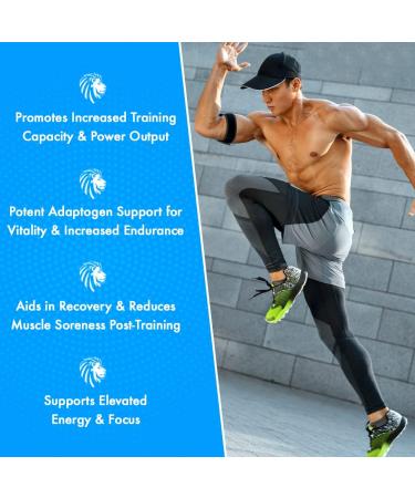 Alpha Lion Superhuman Sport Pre Workout Powder - Energy & Focus Supplement for Men & Women | 21 Servings Grapezilla Flavor | Muscle Recovery & Enhanced Training - Buy Online on GoSupps.com