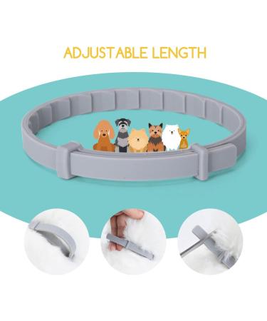 Nobleza Dog Tick Collar - 2 PCs Waterproof Adjustable Up to 8 Months Flea & Tick Protection 100% Natural Ingredients - Best for International Shipping - Buy Online on GoSupps.com