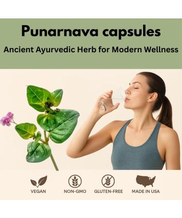 Morsan Healthcare Punarnava Capsules (Boerhaavia Diffusa) 500mg 60 Veg Capsules | Herbal Wellness Supplement for Natural Kidney & Liver Support | Plant-Based Detox & Cleansing Formula | Pack of 4 - Buy Online on GoSupps.com