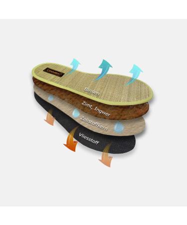 Cinnea BINSEN 4-Pack Wellness Insoles for Foot Odor & Calluses | Size 46/47 - Buy Online on GoSupps.com