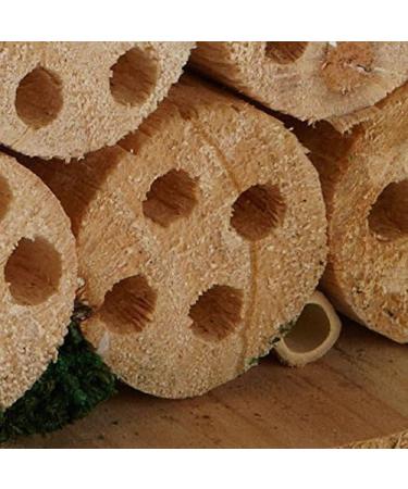 Wildlife Republic Insect Log Cabin Bee and Bug Home Insect Hotel - Buy Online on GoSupps.com