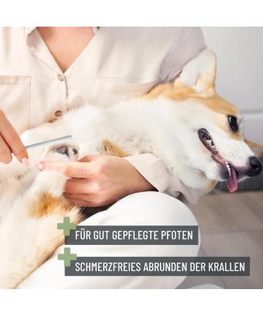 Reavet Claw Scissors for Dogs & Cats - Stainless Steel Nail Clippers with Claw File & Distance Holder for Pet Nail Care - Buy Online on GoSupps.com