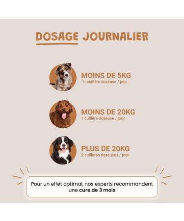 Brewer's Yeast Powder for Dogs and Cats - Source of Vitamin B - 100% Natural Food Supplement - 100g - Buy Online on GoSupps.com