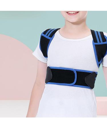 Posture Corrector Back Straightener Belt Support Elastic Comfortable Brace for Men Women (Blue) L Blue - Buy Online on GoSupps.com