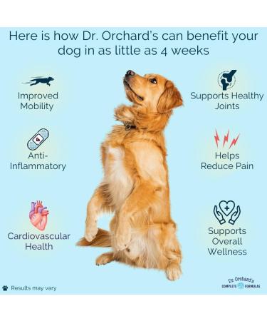 Hip & Joint Supplement for Dogs 60 Count Duck Flavor Glucosamine Chondroitin MSM by Dr. Orchard's - Buy Online on GoSupps.com