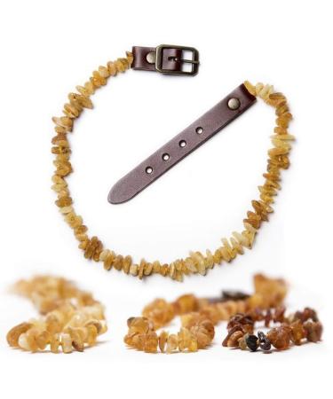 Chronobalance amber chain for dogs dog collar made of real amber with adjustable leather closure sizes for small and large dogs without chemistry 40-45cm - Buy Online on GoSupps.com