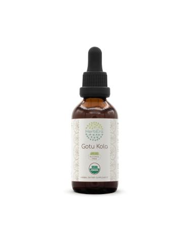 HerbEra Gotu Kola B60 USDA Organic Tincture | Alcohol-Free Extract High-Potency Herbal Drops | Certified Organic Gotu Kola (Centella asiatica) Dried Herb (2 oz) 2 Fl Oz (Pack of 1)