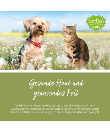 B Complex Capsules for Dogs 48 g - Buy Online on GoSupps.com