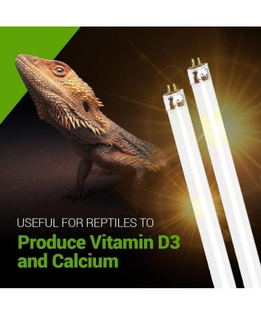 2 Pack 8W-Watt T5 HO Reptile Light Desert UVA UVB 10.0 Fluorescent Tube - 12" Terrarium Hood Light Suitable for Desert Reptile Lizards Bearded Dragons & Promotes Natural Behavior UVB Bulb 8W - 12 Inch UVB 10.0 - Buy Online on GoSupps.com