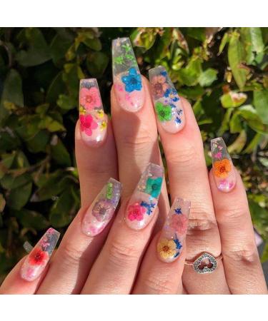 UNIME 12 Colors Mini Real Dried Flowers Nail Art Supplies - 3D Applique Decoration Sticker for Manicure Tips - Buy Online on GoSupps.com