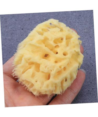 DOITOOL Bath Shower Sponge Bath Sponge Sponges Seaweed Sponge Algae Sponge Honeycomb - Buy Online on GoSupps.com