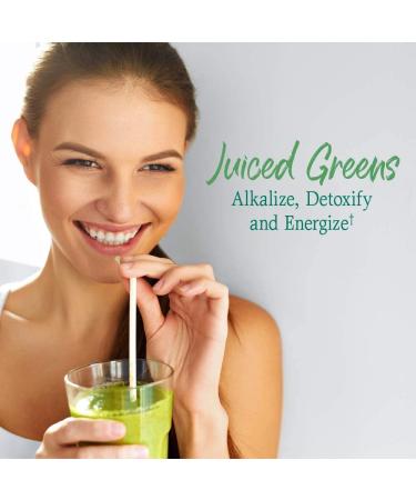 Garden of Life Raw Organic Perfect Food Green Superfood Powder - Apple Flavor, 8.14 oz - Buy Online on GoSupps.com