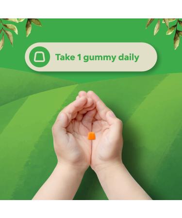 Bundle of Kids DHA Omega 3 Gummies with Vegetarian 6 9 for Vision Brain & Immunity and Chewable Vitamin D Gummies for Kids - 1000 IU Per Serving Vitamins - Immune Support Muscle Teeth & Bone Health - Buy Online on GoSupps.com