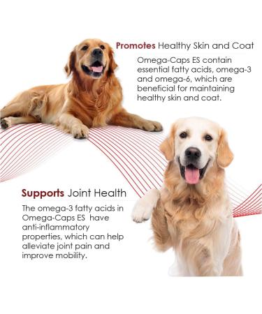 Omega-Caps Extra Strength for Large Breeds-Vet Formulated for Healthy Radiant Skin & Coat While Reducing Excess Shedding. Omega 3 for Immune System Support Easy to Dose 180 Soft Gel Capsules - Buy Online on GoSupps.com