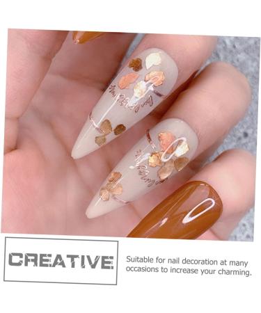  Healvian Healvian 5 Dozen Nail Decorations Manicure Supply DIY Mica Slice Glitter Decor Nail Art Flake Bling Decor Nail Polish Nail Gel Manicure Decoration Nail Art Jewelry Mica Slice - Buy Online on GoSupps.com