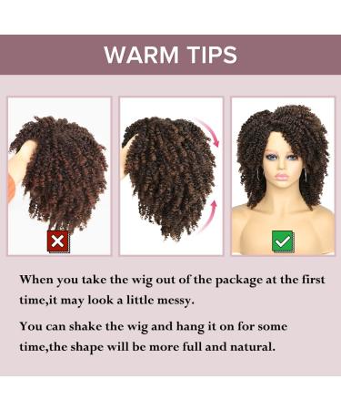 Hanne Fashion Short Kinky Curly Ombre Brown Wig | Side Part Afro Curly Synthetic Wig for Black Women | Heat Resistant Fiber | 1B/30 - Buy Online on GoSupps.com