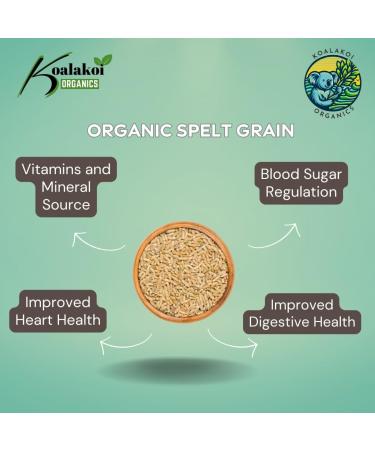 Koalakoi ORGANIC Certified Spelt Grain (400g - 4.5kg | Premium non-GMO 100% Natural no Additives or Preservatives | Packed with fibre and minerals Perfect for home cooking and baking (400g) - Buy Online on GoSupps.com