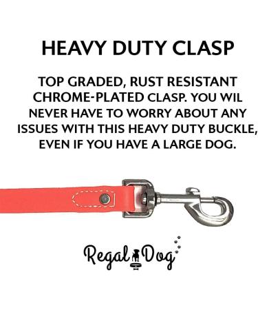 Regal Dog Products Waterproof Dog Collar & Leash Set (1.5m) - Perfect for Small Medium & Large Dogs - Durable Orange Design - Buy Online on GoSupps.com