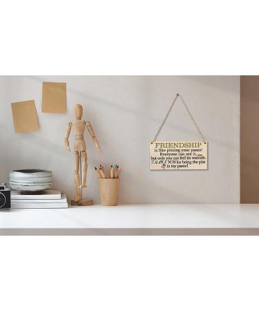 Friend Gifts For Women Under $15 | Funny Friendship Plaque for Her | Special BFF Gift | Prime Eligible - Buy Online on GoSupps.com