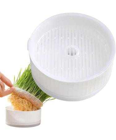Anulely Cat Grass Plant Container - Earth-Free Indoor Planting Box for Cats & Dogs | Removable Sprouter Tray & Home D cor in White - Buy Online on GoSupps.com