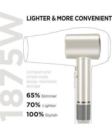 PARWIN PRO BEAUTY Air-Sonic Hair Dryer with Diffuser & Auto-Wrap Curlers - High Speed Ionic Blow Dryer with HD-LED Display | Champagne Silver Professional - Buy Online on GoSupps.com